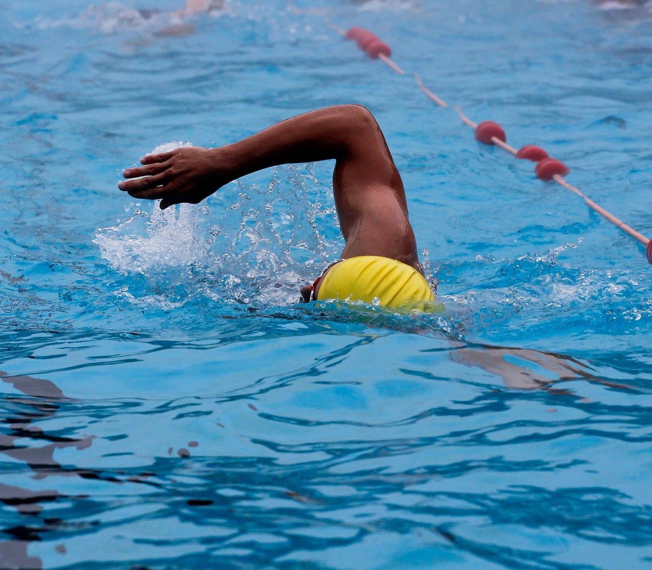 pool, swimmer, healthy, outdoor, sport, blue healthy, swimmer, swimmer, swimmer, swimmer, swimmer